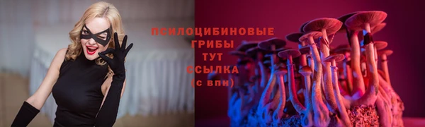 гидропоника Балахна
