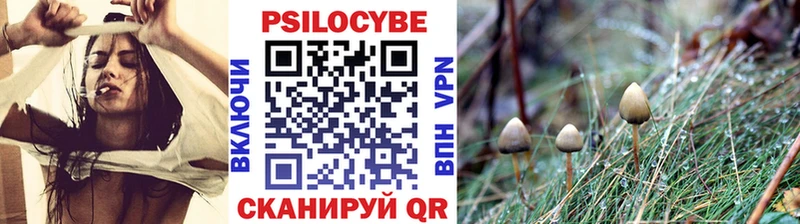 Галлюциногенные грибы Psilocybine cubensis  Курильск 