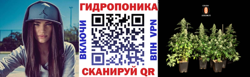 сколько стоит  Курильск  МАРИХУАНА Amnesia 